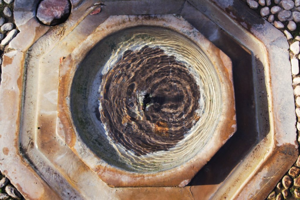 Fossa cheia ou água da chuva? Saiba diferenciar e resolver